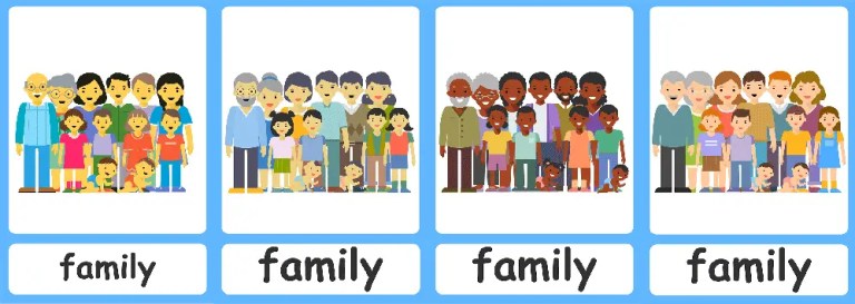 Extended family representation - MiWayLife, 2023